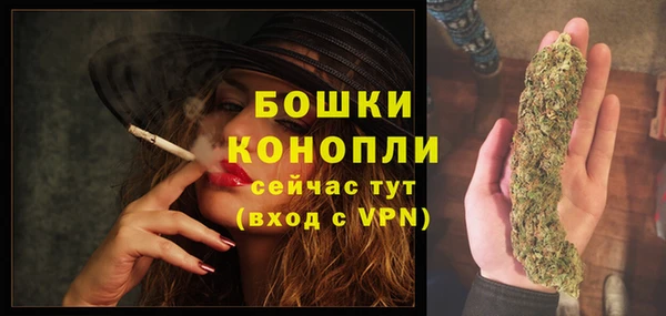гидра Волосово