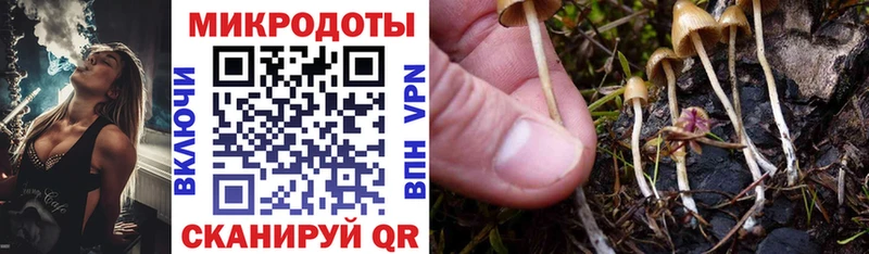 Псилоцибиновые грибы Psilocybine cubensis  Гусь-Хрустальный 